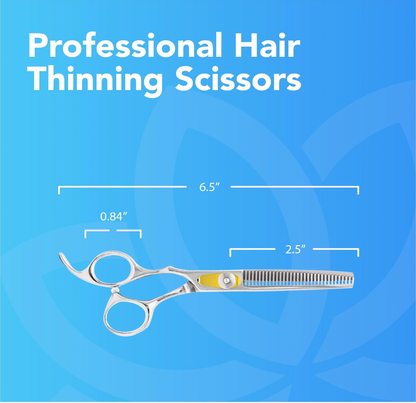 Equinox Professional Texturizing Shear
